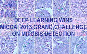 deep learning gana el reto de deteccion mitosis